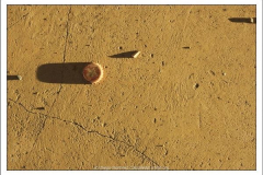 Diego Martínez Castañeda Diego Martínez Castañeda