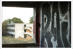 Diego Martínez Castañeda Diego Martínez Castañeda