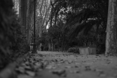 Hugo Quezada Hugo Quezada