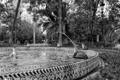 Javier Aguadero Javier Aguadero