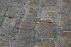 Eva-María-Fernández-6 Eva-María-Fernández-6