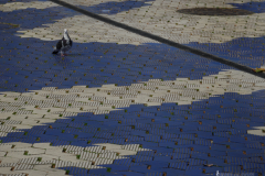 Eva-María-Fernández-7 Eva-María-Fernández-7