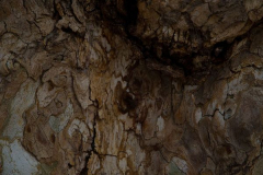 Rodrigo-García-3 Rodrigo-García-3