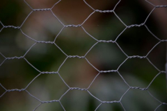 Rodrigo-García-5 Rodrigo-García-5