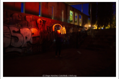 IMG_7727 IMG_7727