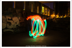 IMG_7731 IMG_7731