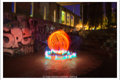 IMG_7732 IMG_7732