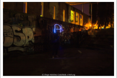 IMG_7736 IMG_7736