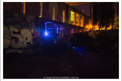 IMG_7737 IMG_7737