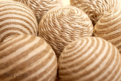 Alicia_Garcia_11 Alicia_Garcia_11