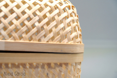 Alicia_Garcia_16 Alicia_Garcia_16