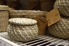 Ana_Isabel_Rey_Botello_DSC_0041_1 Ana_Isabel_Rey_Botello_DSC_0041_1