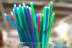 Ana_Isabel_Rey_Botello_DSC_0069_1 Ana_Isabel_Rey_Botello_DSC_0069_1