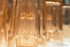 Ana_Isabel_Rey_Botello_DSC_0072_1 Ana_Isabel_Rey_Botello_DSC_0072_1