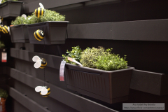 Ana_Isabel_Rey_Botello_DSC_0088_1 Ana_Isabel_Rey_Botello_DSC_0088_1