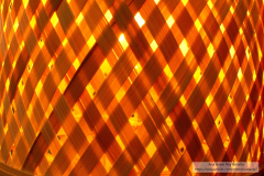 Ana_Isabel_Rey_Botello_DSC_0100_1 Ana_Isabel_Rey_Botello_DSC_0100_1