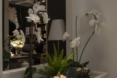 Ana_Maria_Garcia_Garcia_DSC0809f Ana_Maria_Garcia_Garcia_DSC0809f