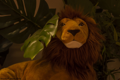 Ana_Maria_Garcia_Garcia_DSC0932f Ana_Maria_Garcia_Garcia_DSC0932f