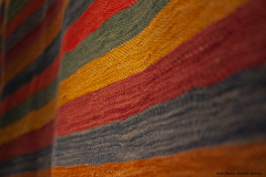 Ana_Maria_Garcia_Garcia_DSC0936f Ana_Maria_Garcia_Garcia_DSC0936f