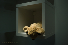 AnastasiaKondratieva_com_DSCF3035