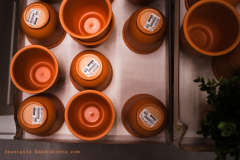 AnastasiaKondratieva_com_DSCF3069