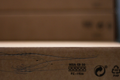 Diego_Martinez_Castañeda_04