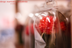 Diego_Martinez_Castañeda_08