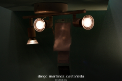 Diego_Martinez_Castañeda_12