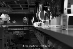 Diego_Martinez_Castañeda_13