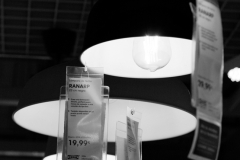 Diego_Martinez_Castañeda_15