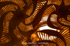 Diego_Martinez_Castañeda_16