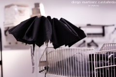 Diego_Martinez_Castañeda_23