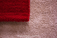 Diego_Martinez_Castañeda_26