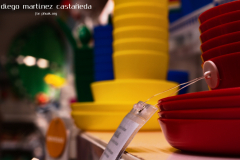 Diego_Martinez_Castañeda_38