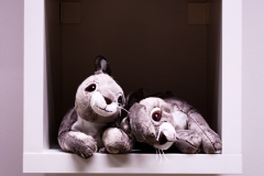 Diego_Martinez_Castañeda_42