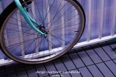 Diego_Martinez_Castañeda_50