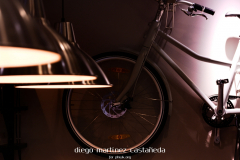 Diego_Martinez_Castañeda_71