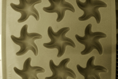 Eduardo_LM_Estrellas_polares