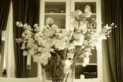 Eduardo_LM_Ramos_al_centro