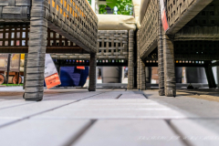 Francisco_Jose_Roman_Medina_DSC3465-3