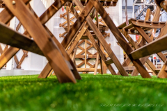 Francisco_Jose_Roman_Medina_DSC3468-3