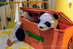 Francisco_Jose_Roman_Medina_DSC3527-3