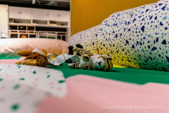 Francisco_Jose_Roman_Medina_DSC3531-3