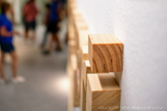 Francisco_Jose_Roman_Medina_DSC3534-3