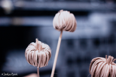 Javi_de_Lara_Ikea_17