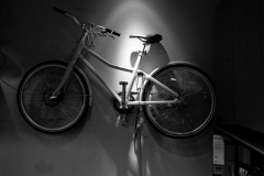 Javier_Aguadero_2019_0729_19162500-01