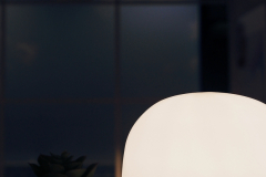 Javier_Aguadero_2019_0729_19411400-01