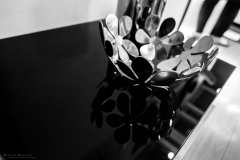 Javier_Mantilla_M7D0011