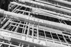 Javier_Mantilla_MG_0024