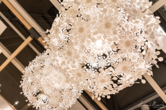 Juanma_Navarro_JNR_8730